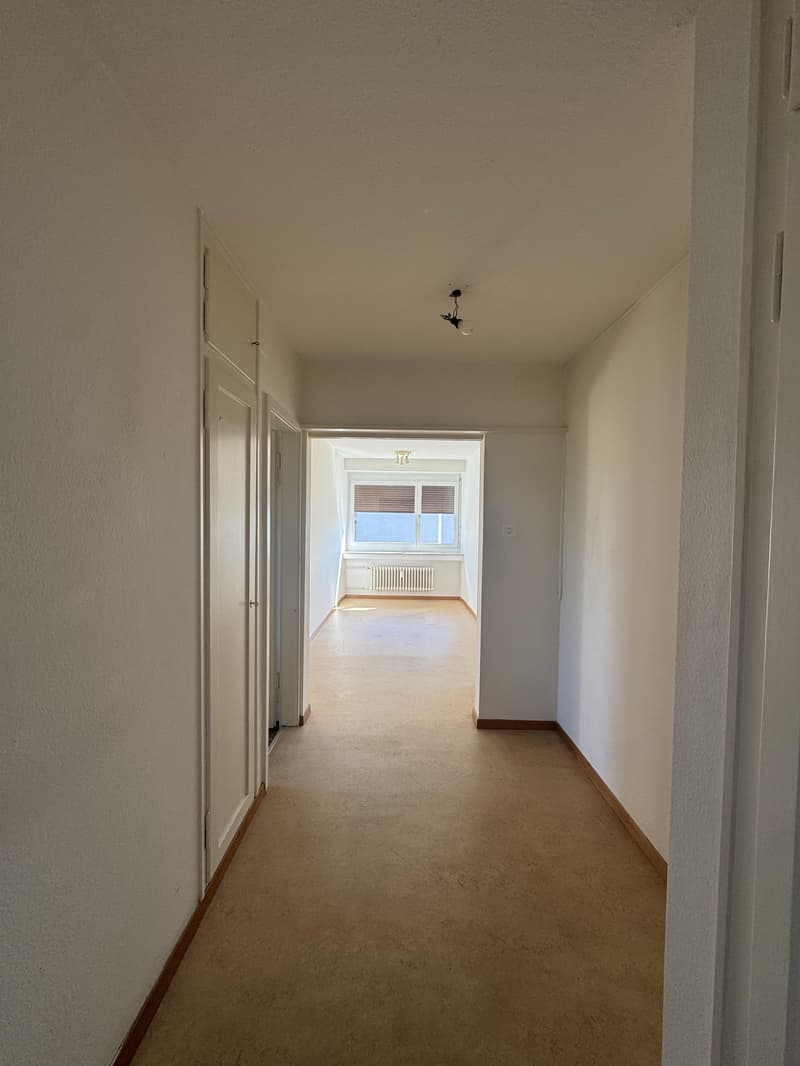 1.0 Zimmerwohnung in Schlieren (befristet) (2)