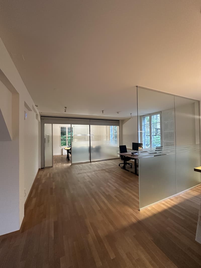 Büro in Zürich (3)