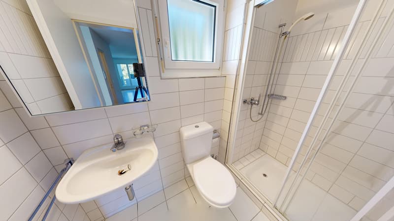 3.5-Zimmerwohnung mit Seeblick (9)