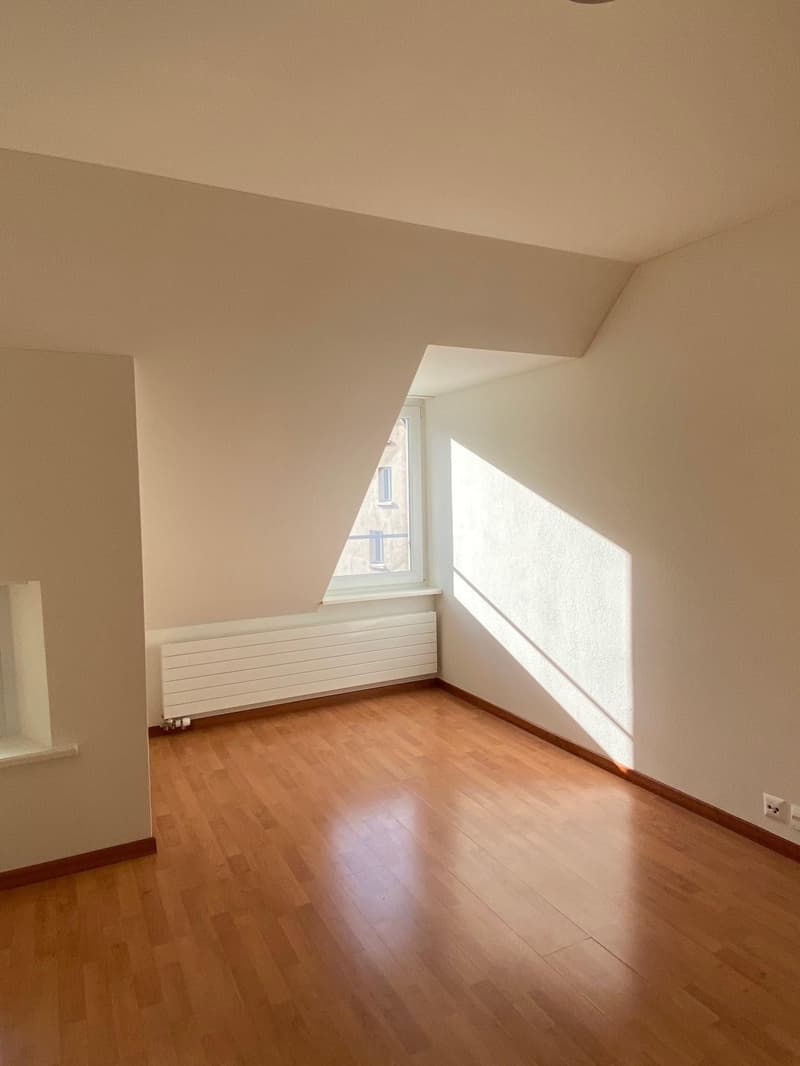 Charmante Dachwohnung im beliebten Kreis 4! (3)