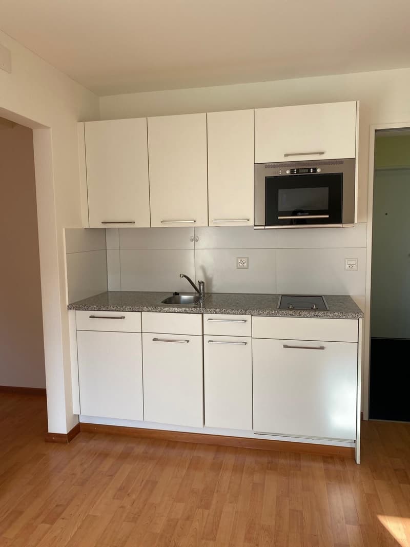 Charmante Dachwohnung im beliebten Kreis 4! (4)
