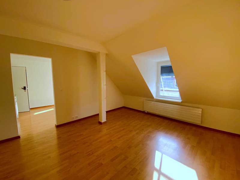 Charmante Dachwohnung im beliebten Kreis 4! (2)