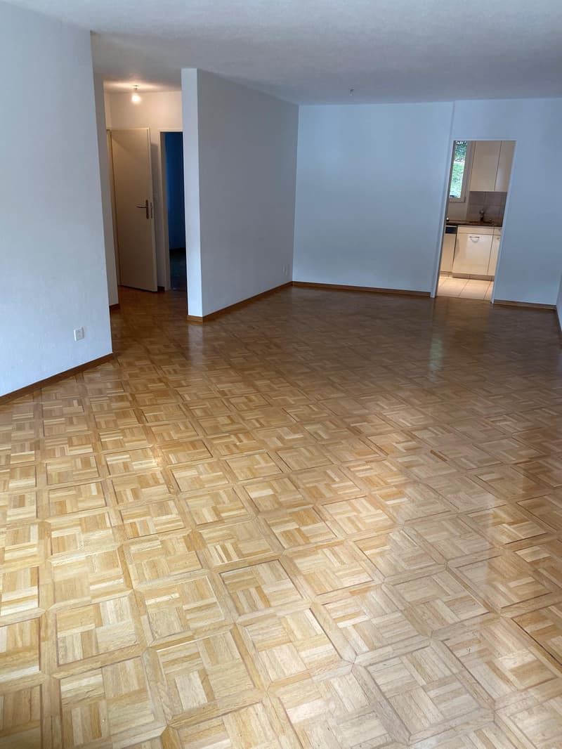 Sonnige Wohnung mit eigenem Garten in Höngg (4)