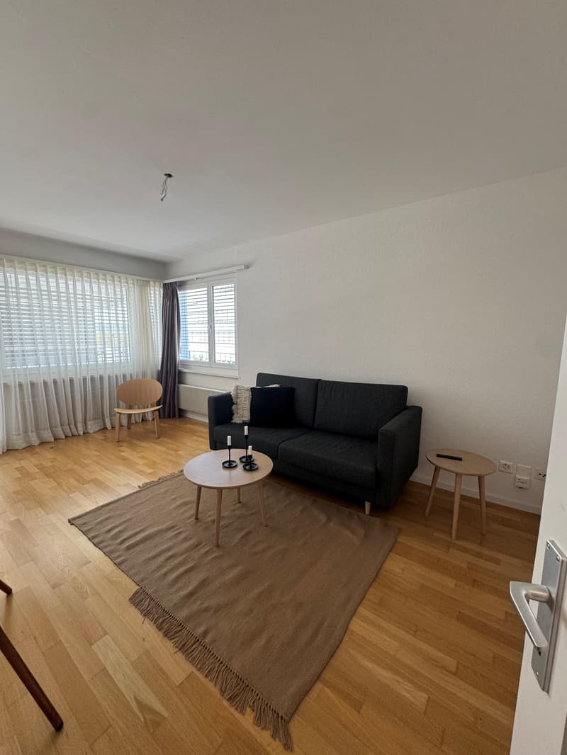 Möblierte Wohnung an attraktiver Lage (2)