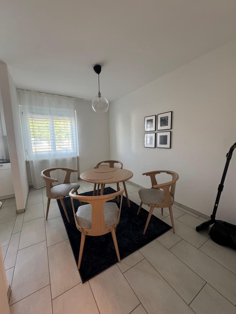 Möblierte Wohnung an attraktiver Lage (4)