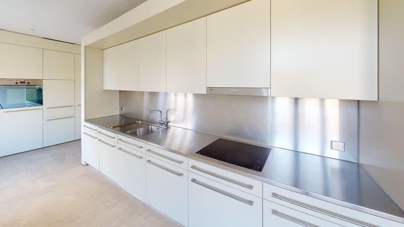 Exklusive Loft-Wohnung im Zwicky-Areal (1)