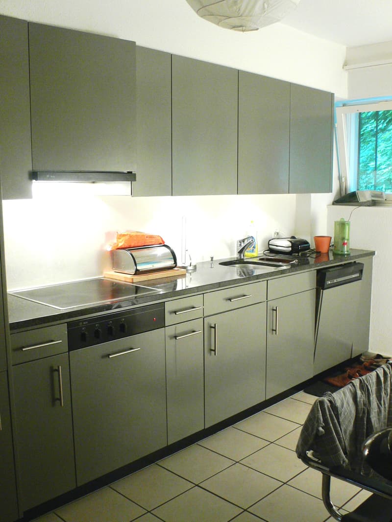 Ihr neues Zuhause am Zürichberg (5)