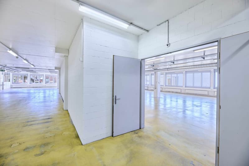 Ideale Lager-/Logistik- und Versandfläche in Basel - 832 m² mit hoher Bodenlast (9)