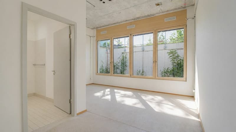 Spacious maisonette apartment on the Rhine with industrial charm (2)