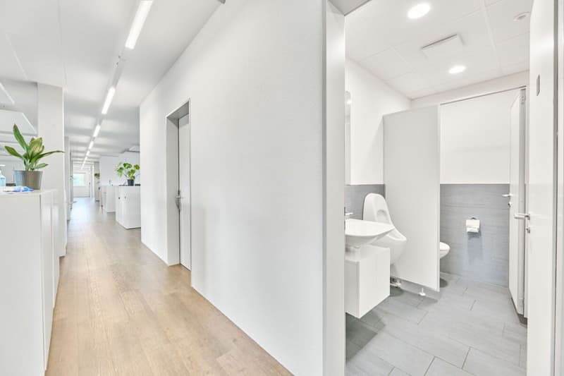 Hochwertig ausgebaute Büro- und Geschäftsfläche (4)