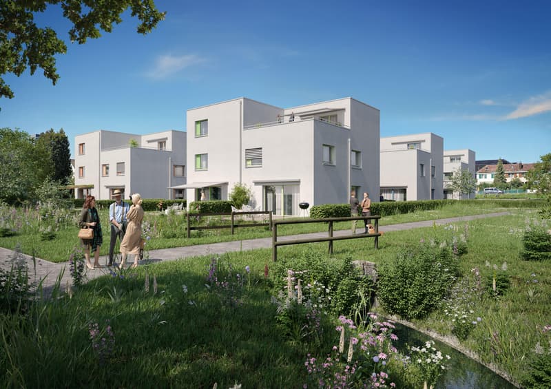 Exklusives 5.5-Zimmer Doppeleinfamilienhaus in Zug (3)