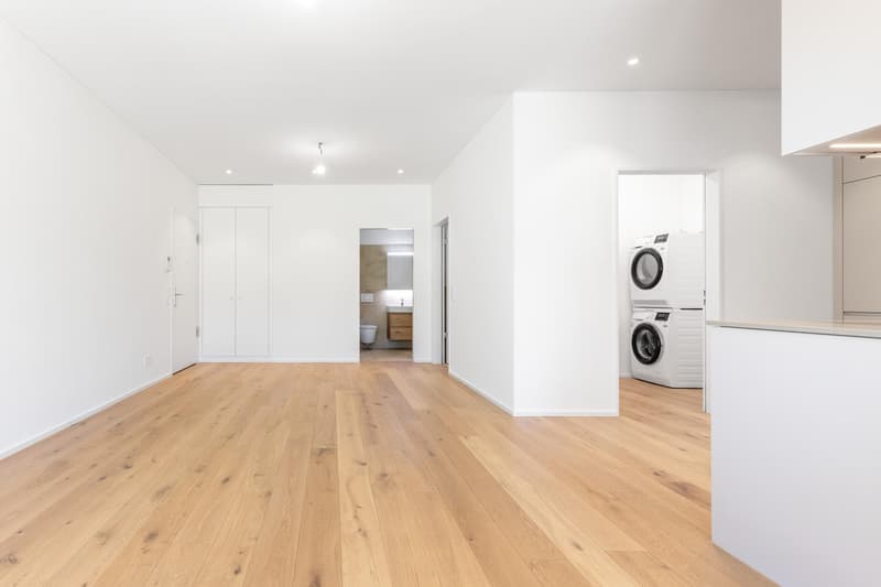 3.5 Zimmerwohnung in Au Wädenswil (3)