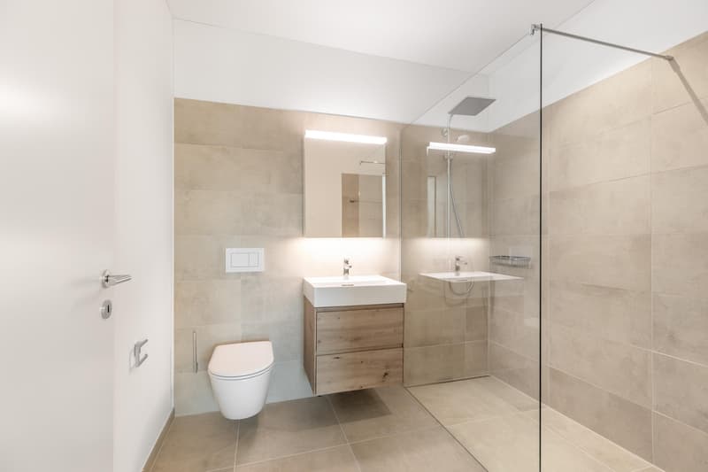 4.5 Zimmerwohnung in Au Wädenswil (6)