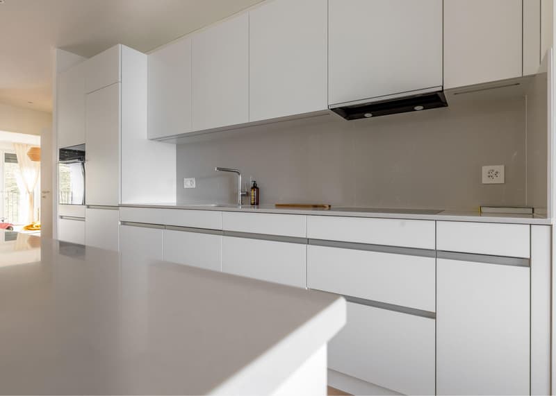 3.5 Zimmerwohnung in Au Wädenswil (5)