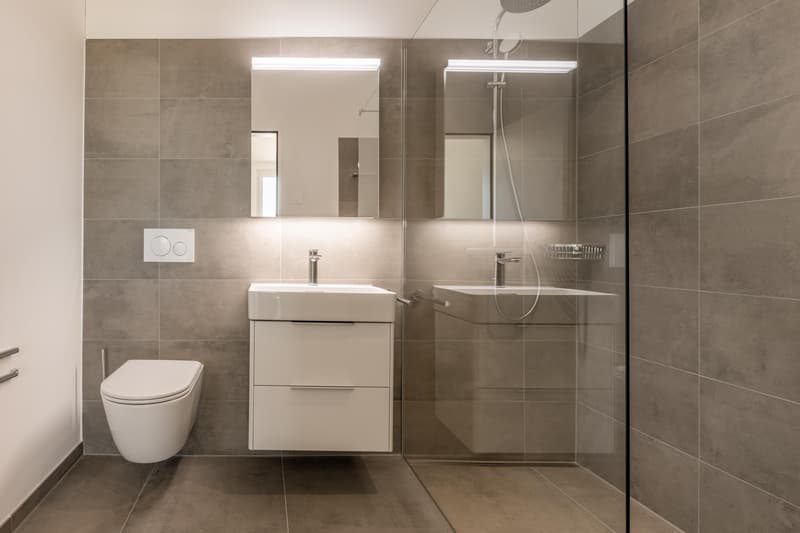 4.5 Zimmerwohnung in Au Wädenswil (6)