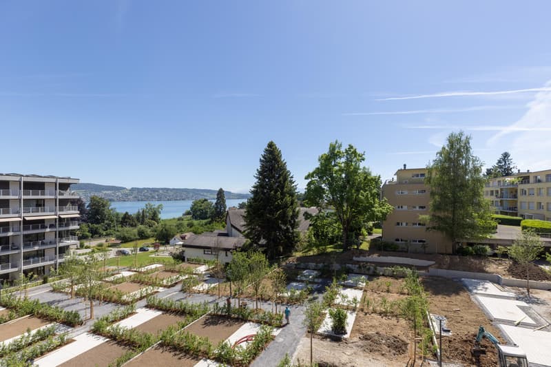 4.5 Zimmerwohnung in Au Wädenswil (3)