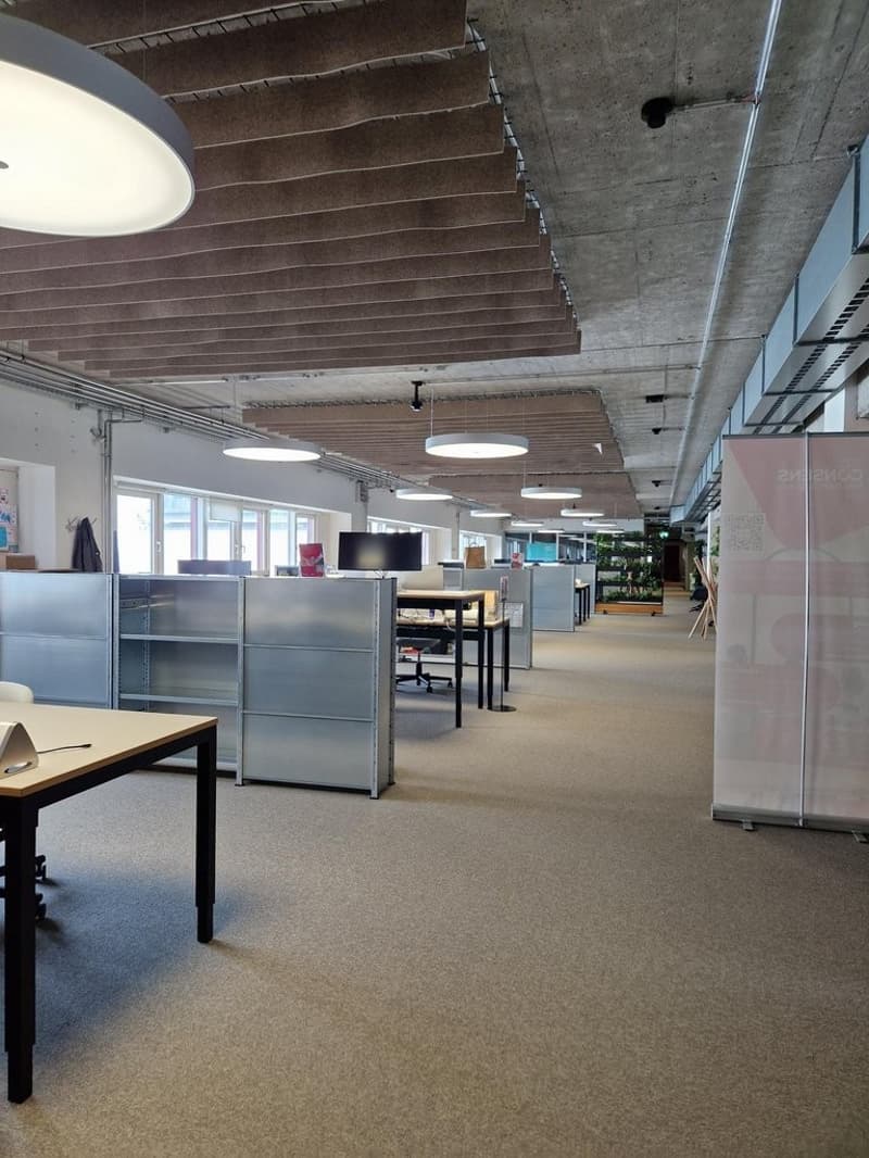 Central, Flexible, Inspiring - Your Coworking Space in Schlieren! (4)