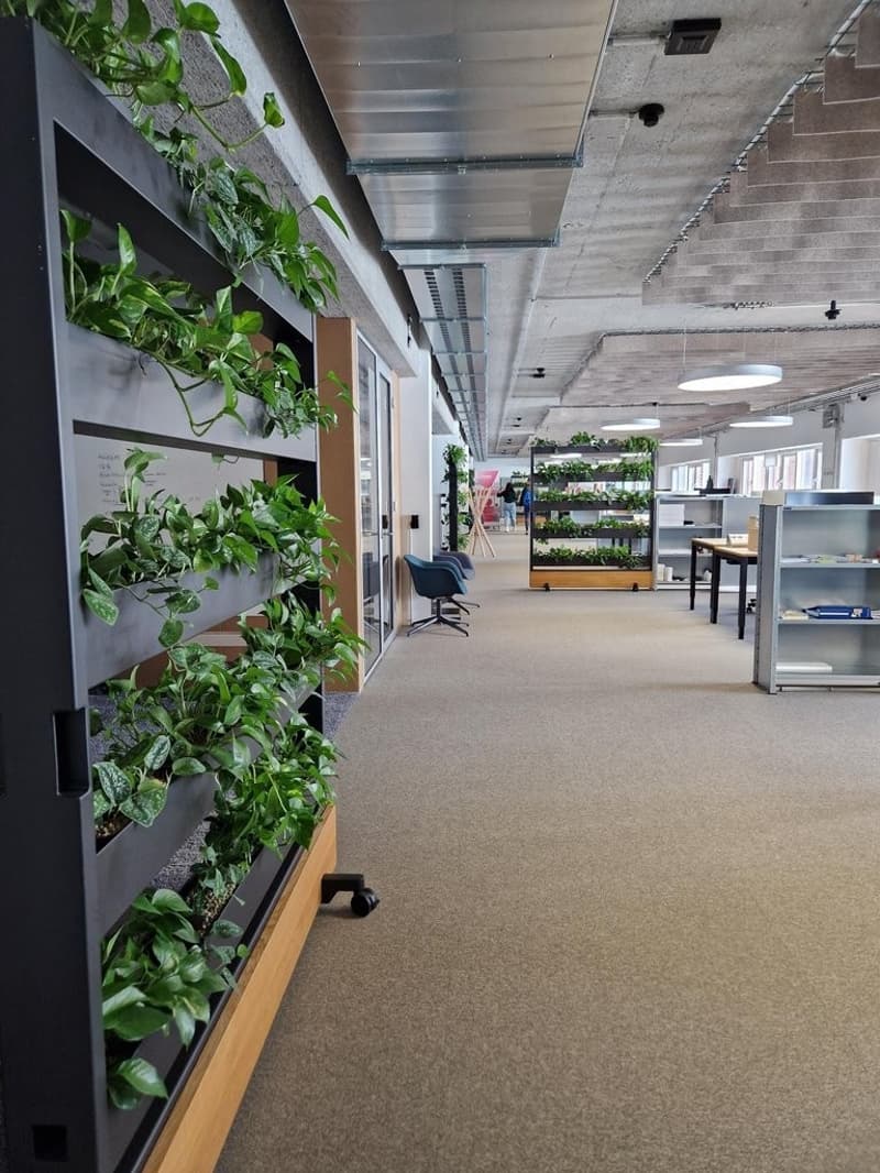 Central, Flexible, Inspiring - Your Coworking Space in Schlieren! (6)