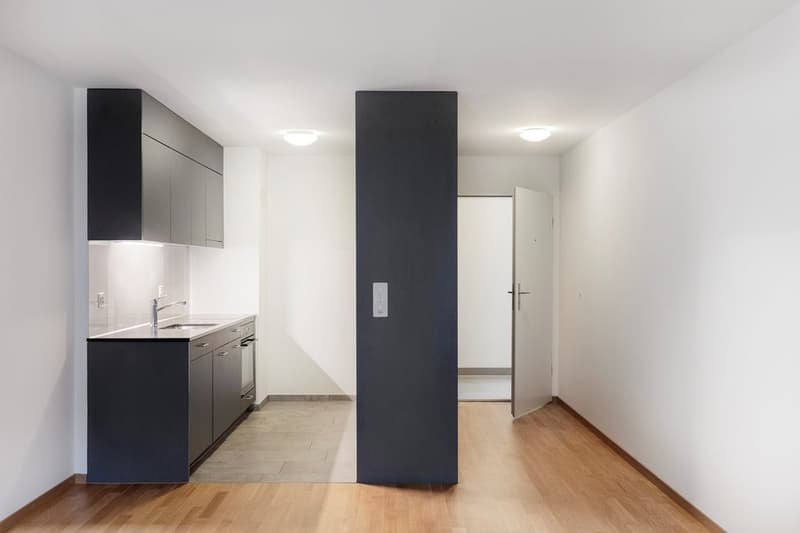 Schöne 2.0 -Zimmer-Wohnung sucht neue Mieter! (2)
