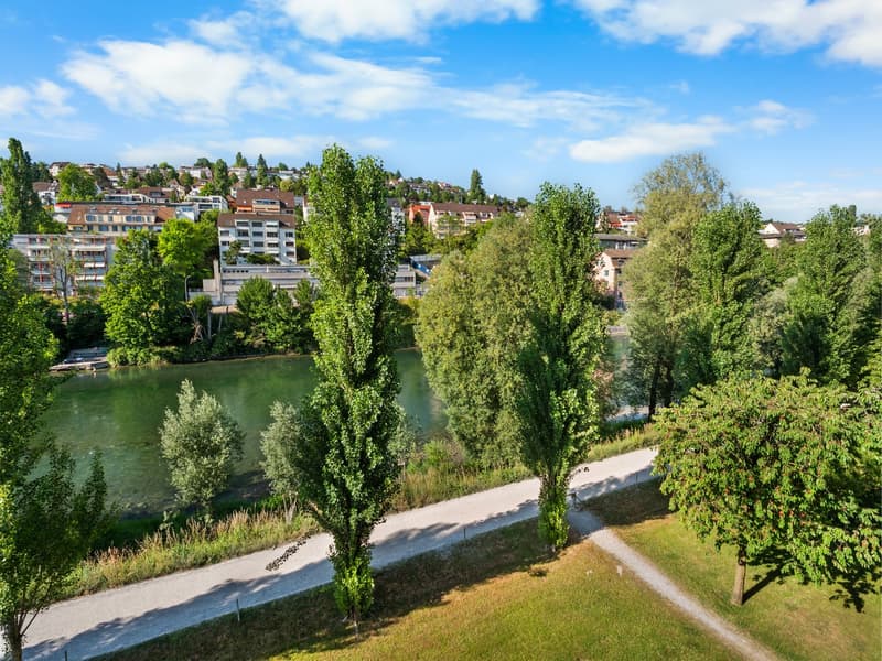 Leben direkt an der Limmat – Exklusive 5.5-Zimmer-Wohnung (8)