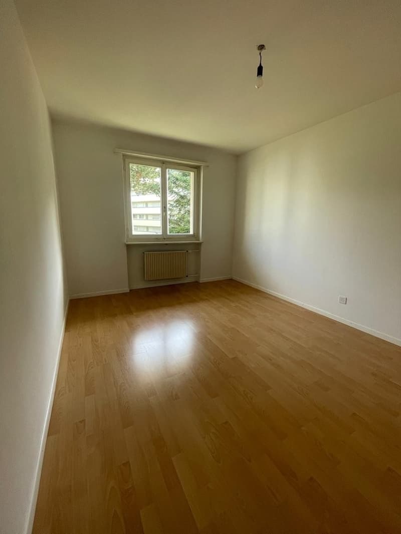 Image_2.jpg