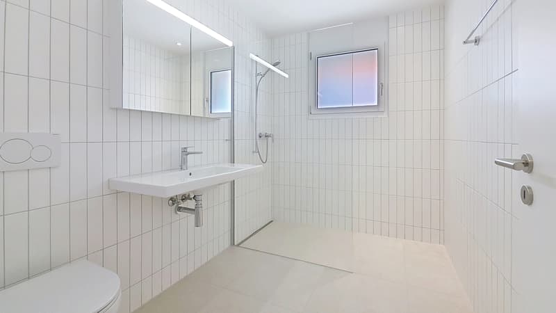 Villas familiales de 5.5 pces neuves à Dompierre / FR (13)