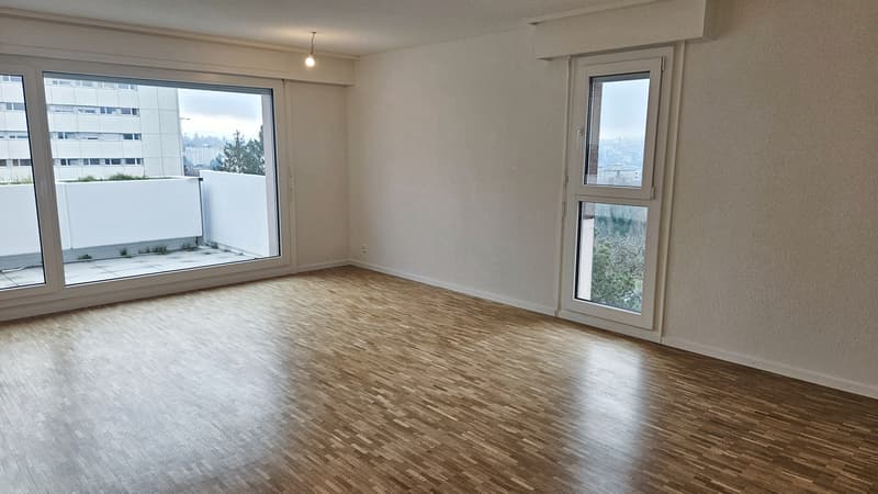 Appartement attique 4.5 p. avec colonne de lavage + balcon à Fribourg (5)