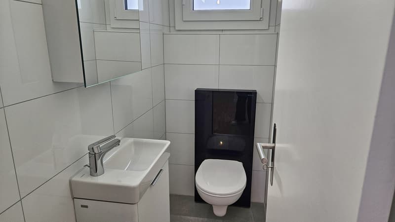 Appartement attique 4.5 p. avec colonne de lavage + balcon à Fribourg (10)