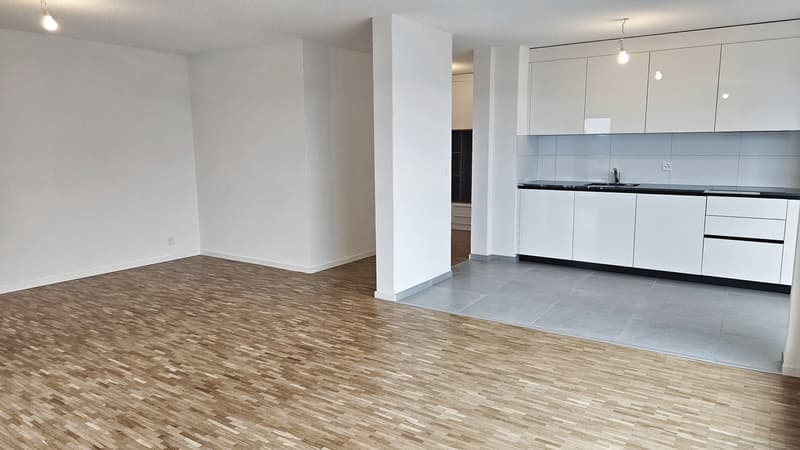 Appartement attique 4.5 p. avec colonne de lavage + balcon à Fribourg (4)