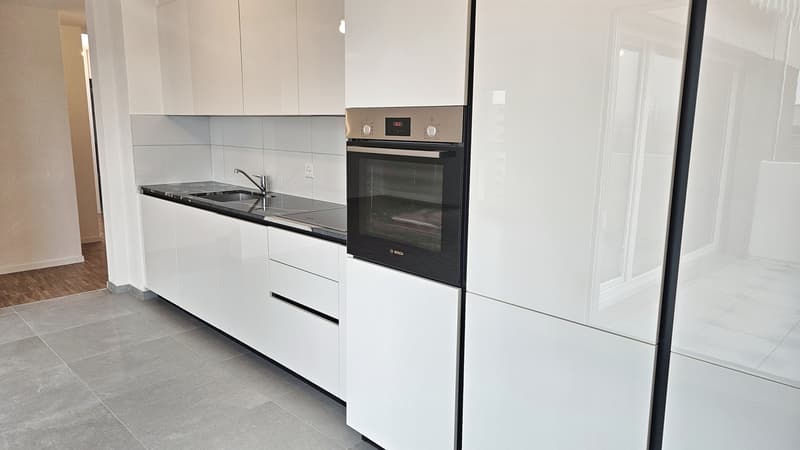 Appartement attique 4.5 p. avec colonne de lavage + balcon à Fribourg (3)