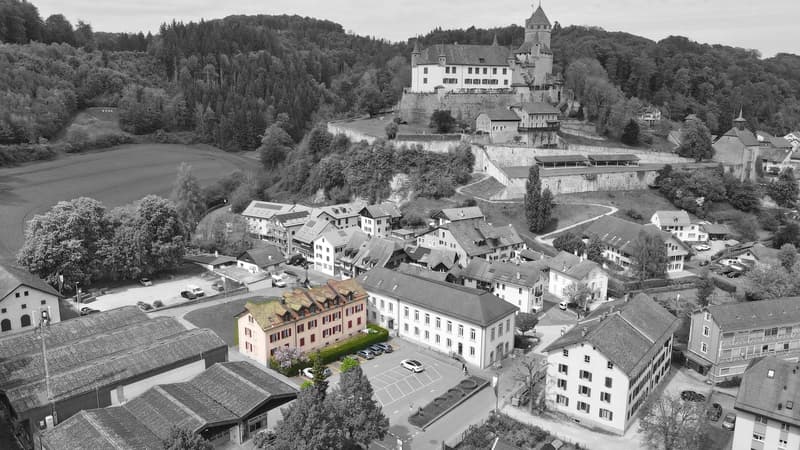 Vue générale