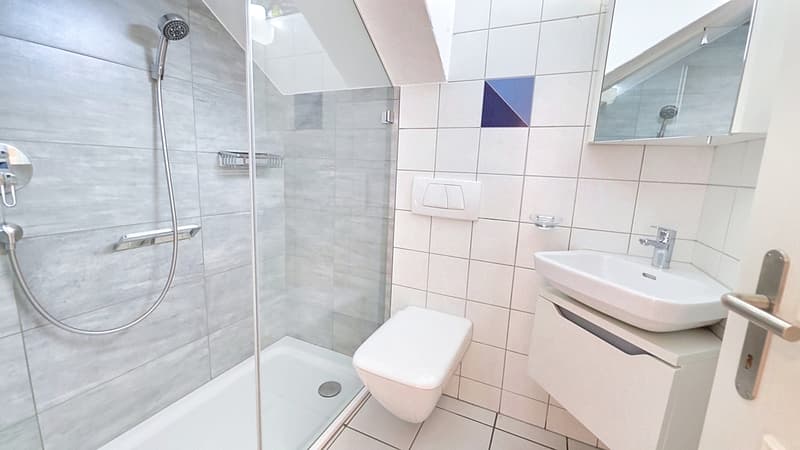 Appartement  5 pces rez - salle de bain