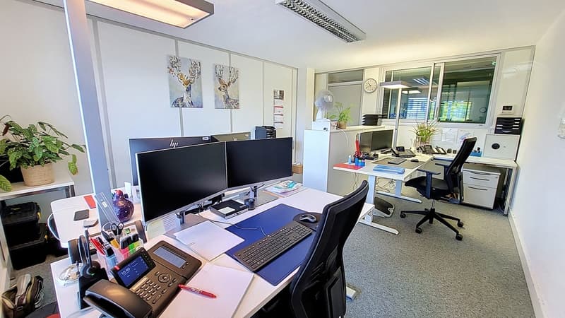 Locaux commerciaux / bureaux d'env. 220 m2 à Estavayer-le-Lac / FR (3)