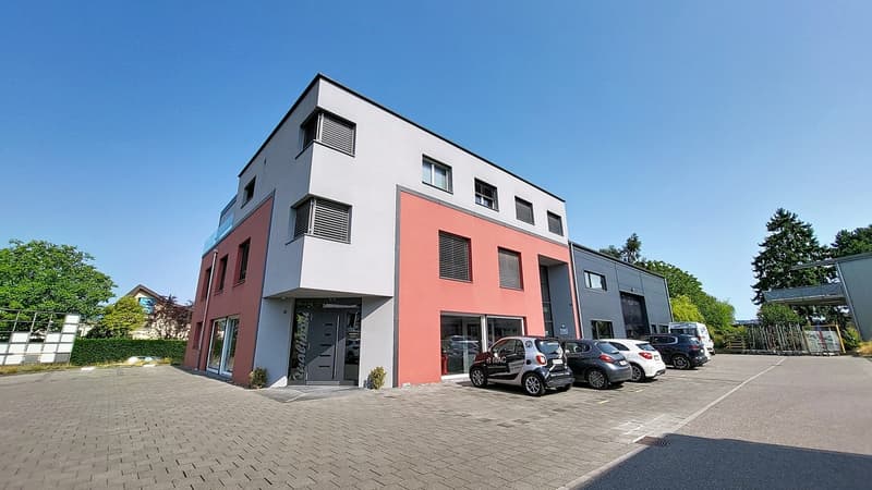 Locaux commerciaux / bureaux d'env. 220 m2 à Estavayer-le-Lac / FR (1)
