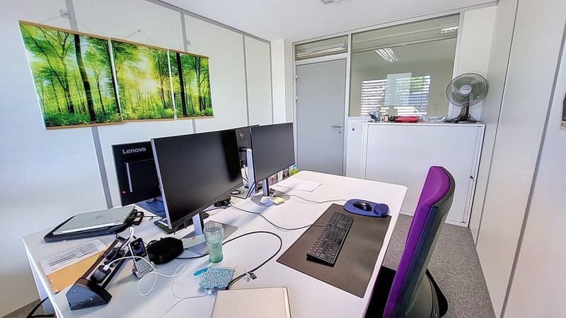 Locaux commerciaux / bureaux d'env. 220 m2 à Estavayer-le-Lac / FR (6)