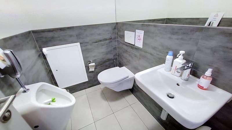 Locaux commerciaux / bureaux d'env. 220 m2 à Estavayer-le-Lac / FR (9)