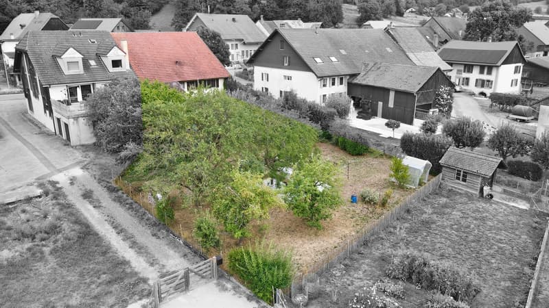 Extérieur / jardin