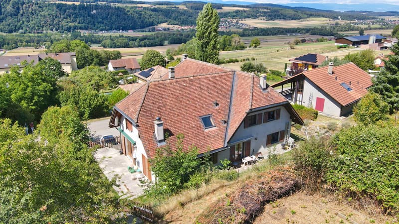 Vue générale