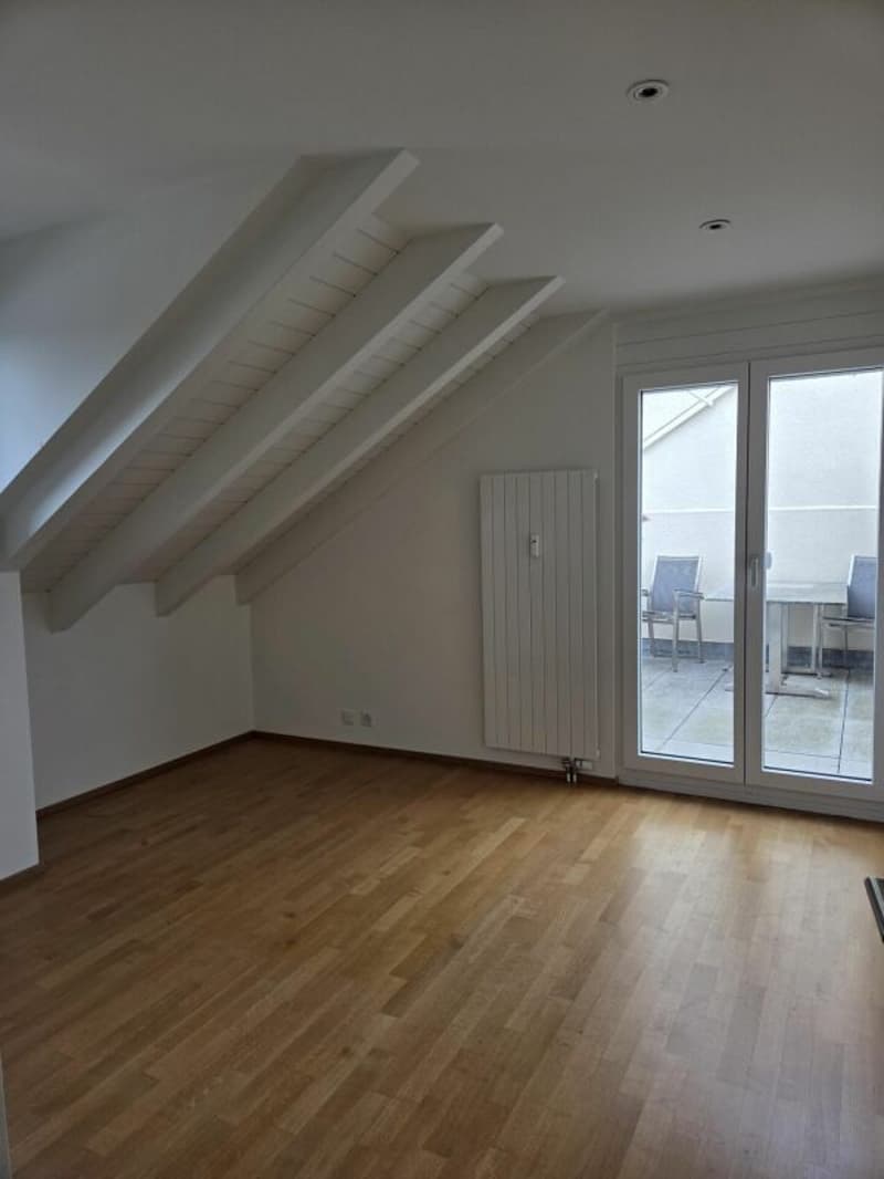 Tolle Attikawohnung an zentraler Lage (10)