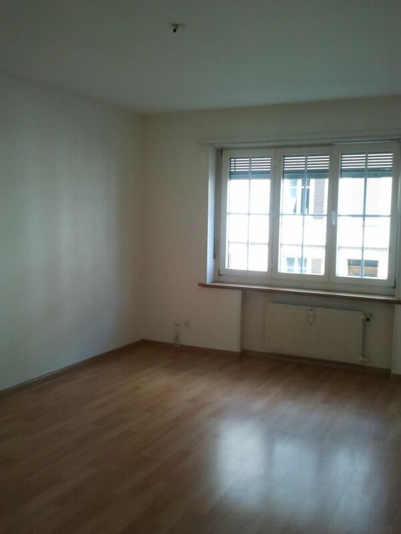 Schöne Wohnung an zentraler Lage (3)