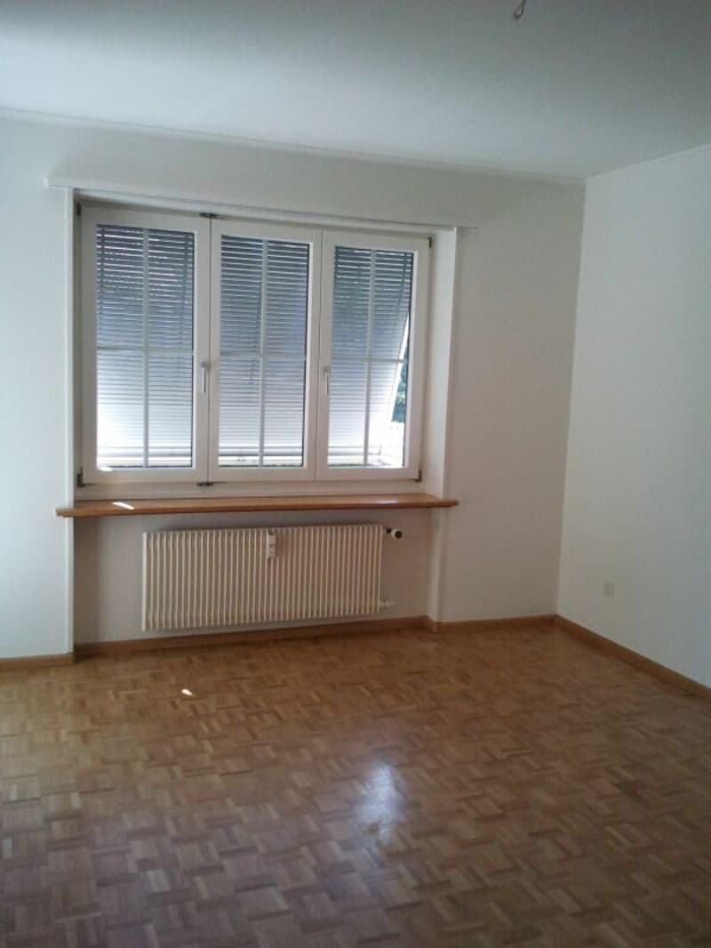 Schöne Wohnung an zentraler Lage (2)