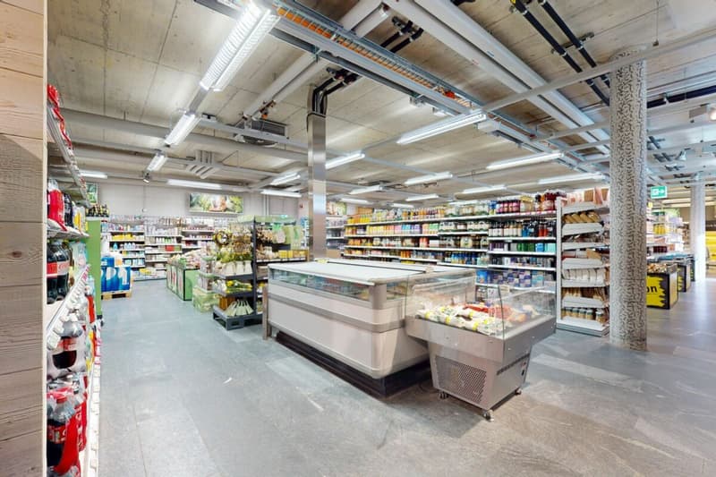 Investissement commercial attractif avec locataire principal à long terme au centre de Schmitten (8)