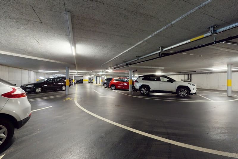 Investissement commercial attractif avec locataire principal à long terme au centre de Schmitten (10)