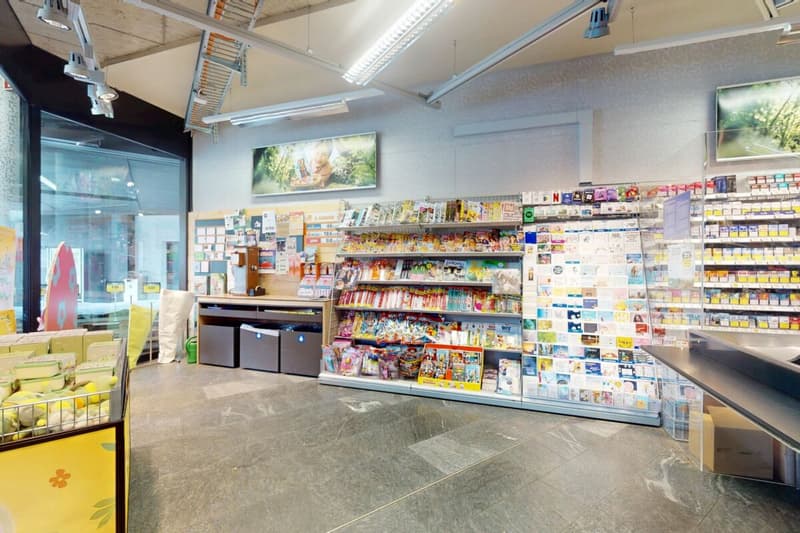 Investissement commercial attractif avec locataire principal à long terme au centre de Schmitten (6)