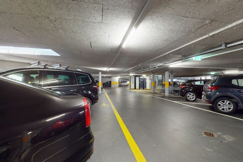 Investissement commercial attractif avec locataire principal à long terme au centre de Schmitten (9)