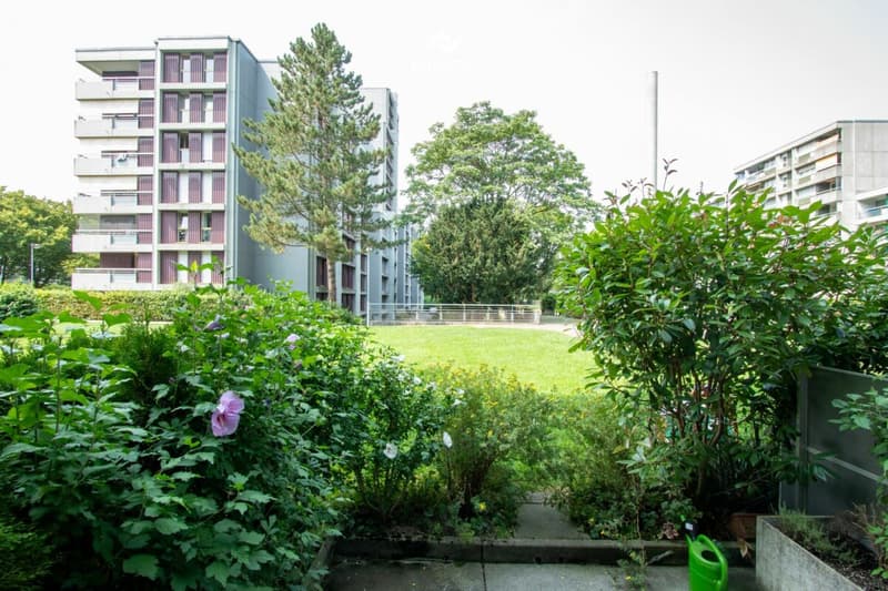 Ich bin kein Baurechtsobjekt - ich bin ein Zuhause. (3)