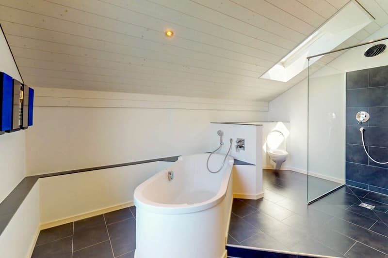4,5-Zimmer-Oase am Thunersee mit Blick auf den Niesen Kopie (10)