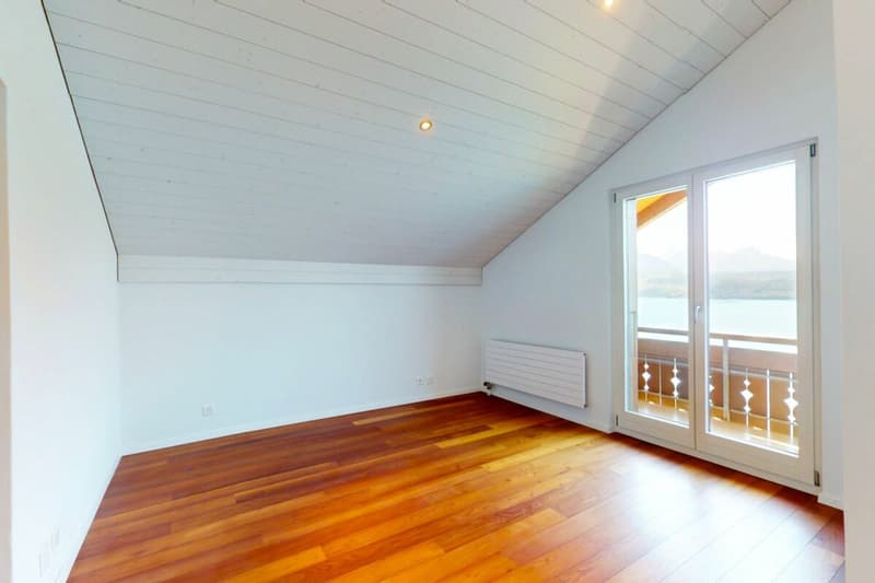 4,5-Zimmer-Oase am Thunersee mit Blick auf den Niesen Kopie (12)