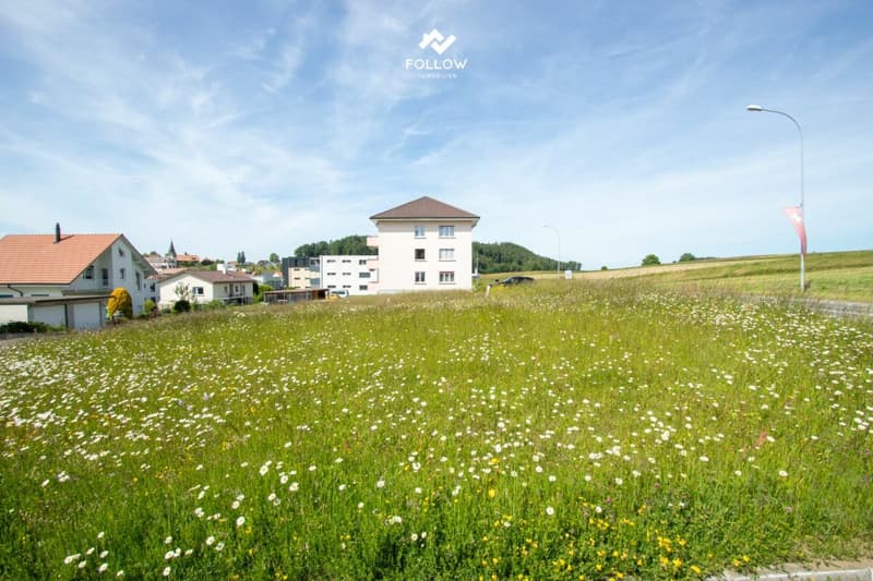 Immeuble locatif avec potentiel de développement et parcelle constructible supplémentaire à Heitenried (13)