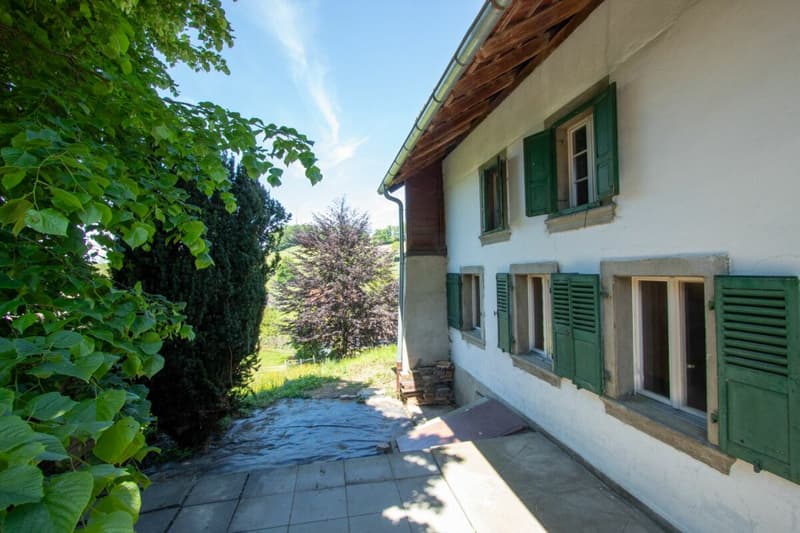 Ancienne ferme nécessitant d'importants travaux de rénovation avec partie rurale en zone agricole (3)